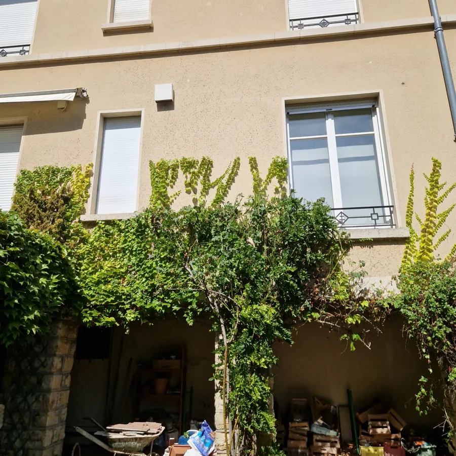 Arbuste taillé et végétation grimpante sur la façade d’une maison